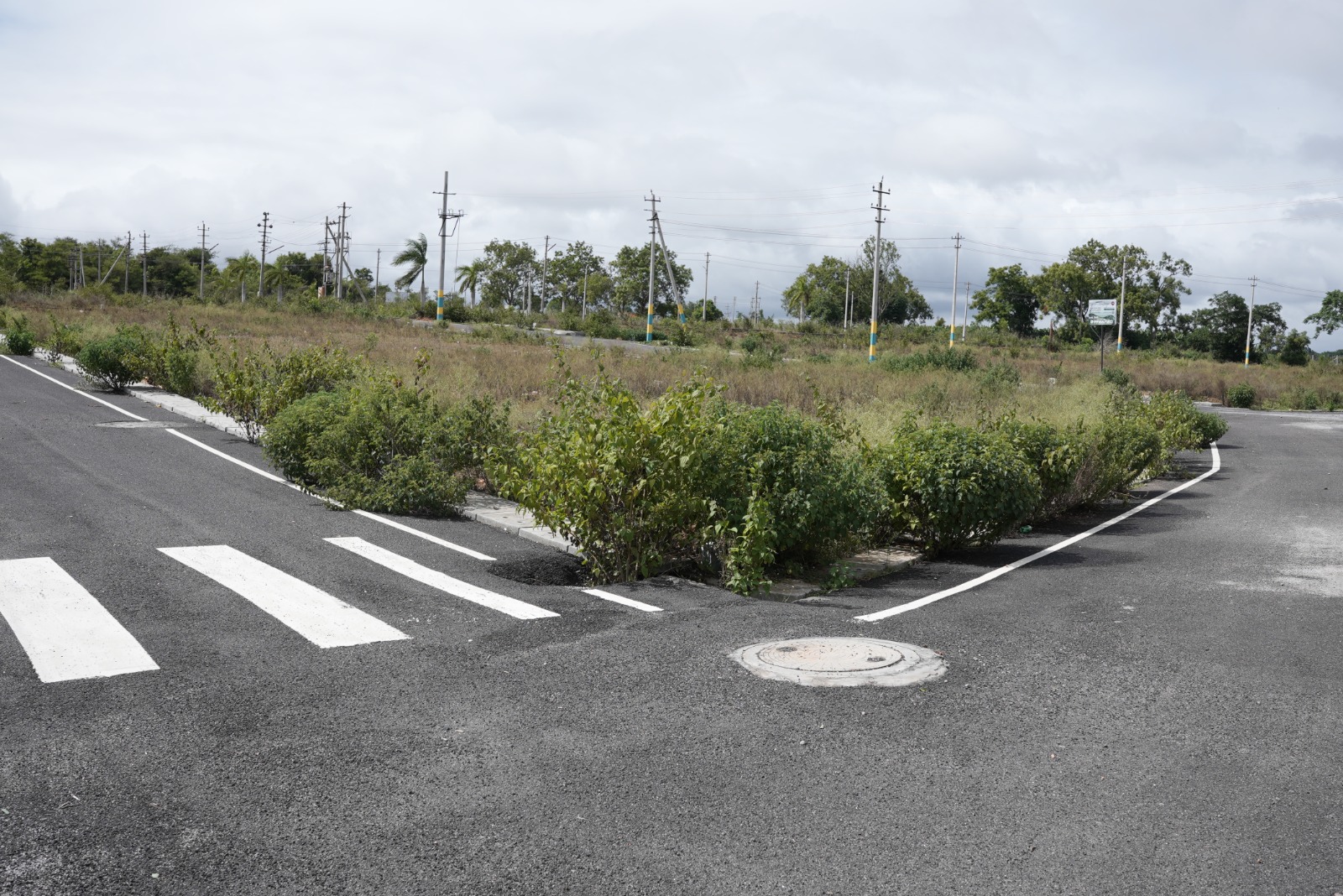 Dhanya's Aashraya asphalted internal road plots Mysore