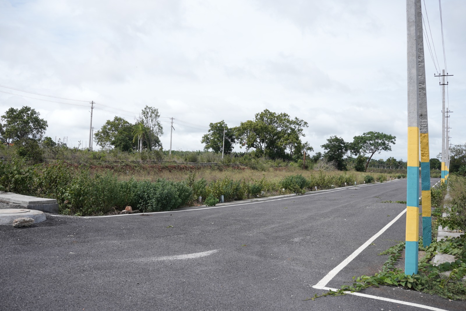 Dhanya's Aashraya asphalted internal road plots Mysore