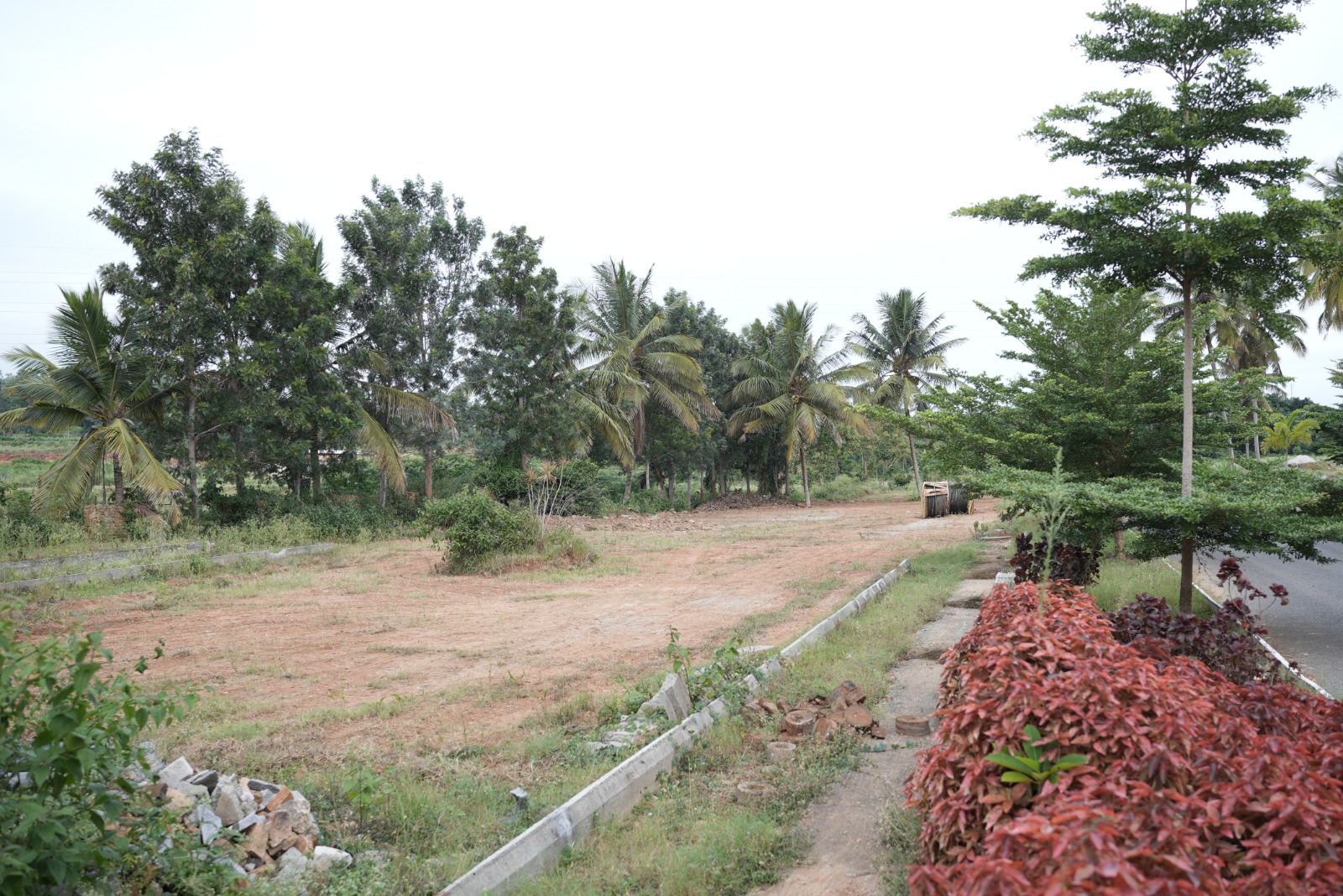 Mahalakshmi Lake Vista landscaped garden avenue plantation Mysore