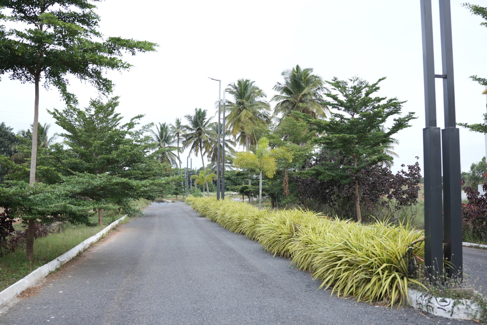 Mahalakshmi Lake Vista landscaped garden avenue plantation Mysore