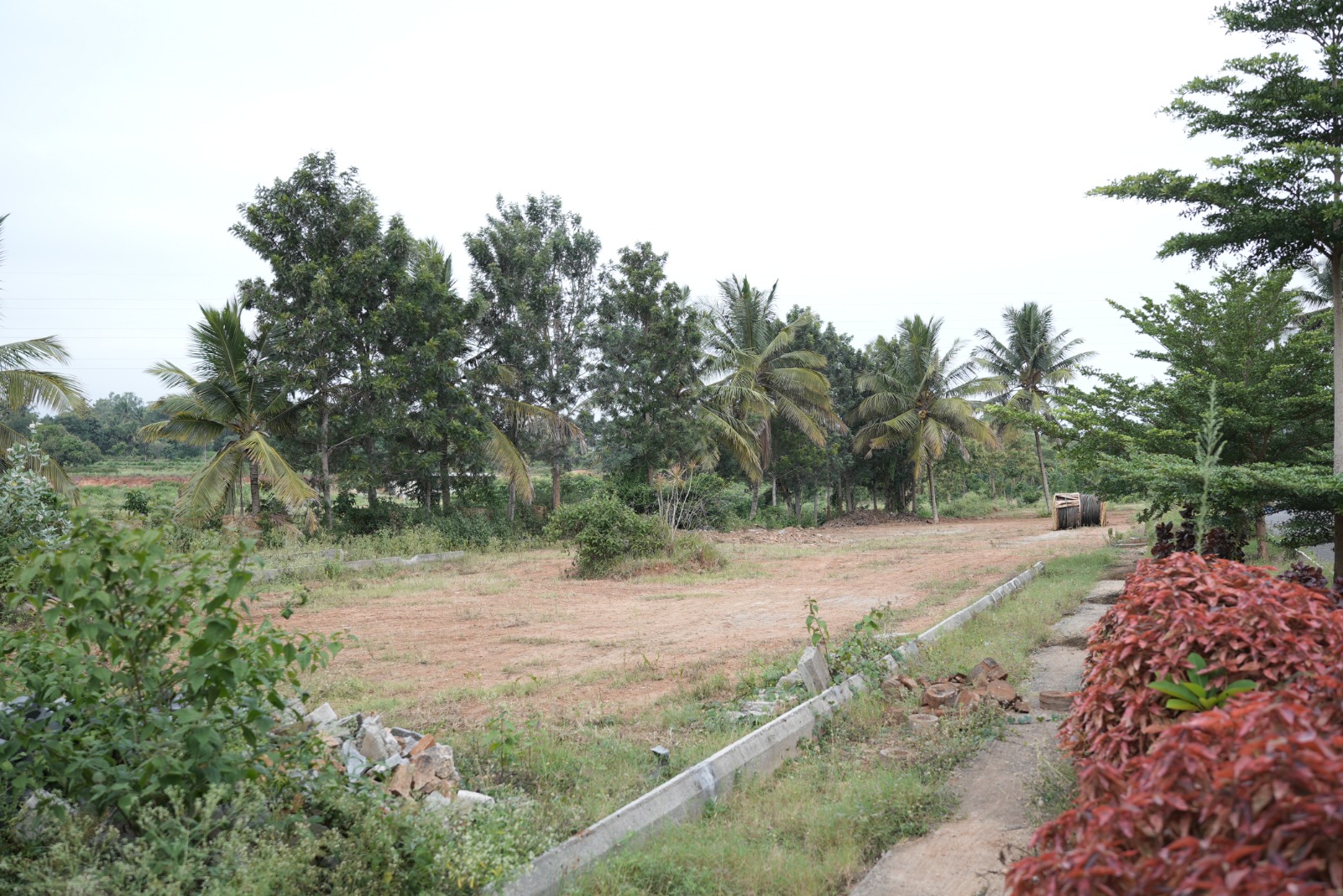 Mahalakshmi Lake Vista landscaped garden avenue plantation Mysore