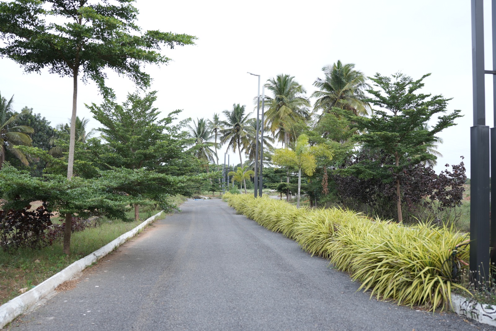 Mahalakshmi Lake Vista landscaped garden avenue plantation Mysore