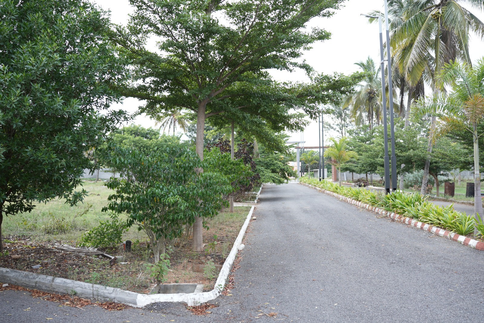 Mahalakshmi Lake Vista residential plot road view Bilikere Mysore
