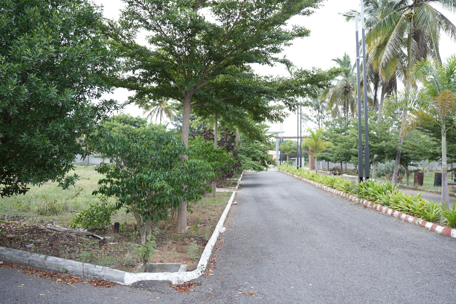 Mahalakshmi Lake Vista residential plot road view Bilikere Mysore