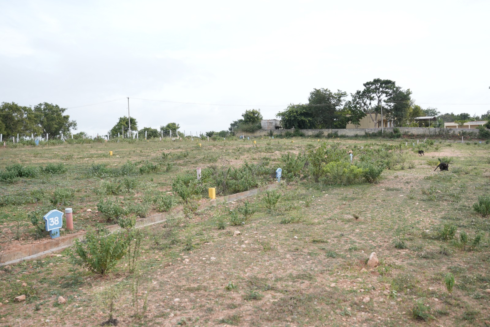 Manorama Enclave gated community entrance Dornahalli Mysore