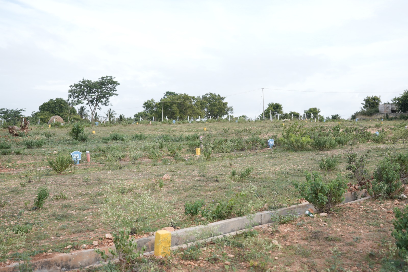 Manorama Enclave underground drainage infrastructure Mysore plots