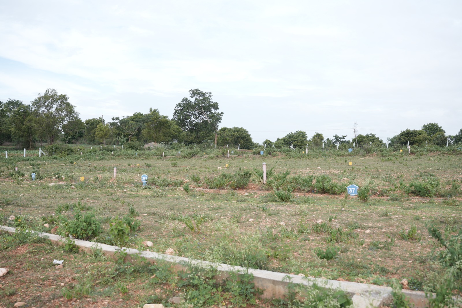 Manorama Enclave underground drainage infrastructure Mysore plots