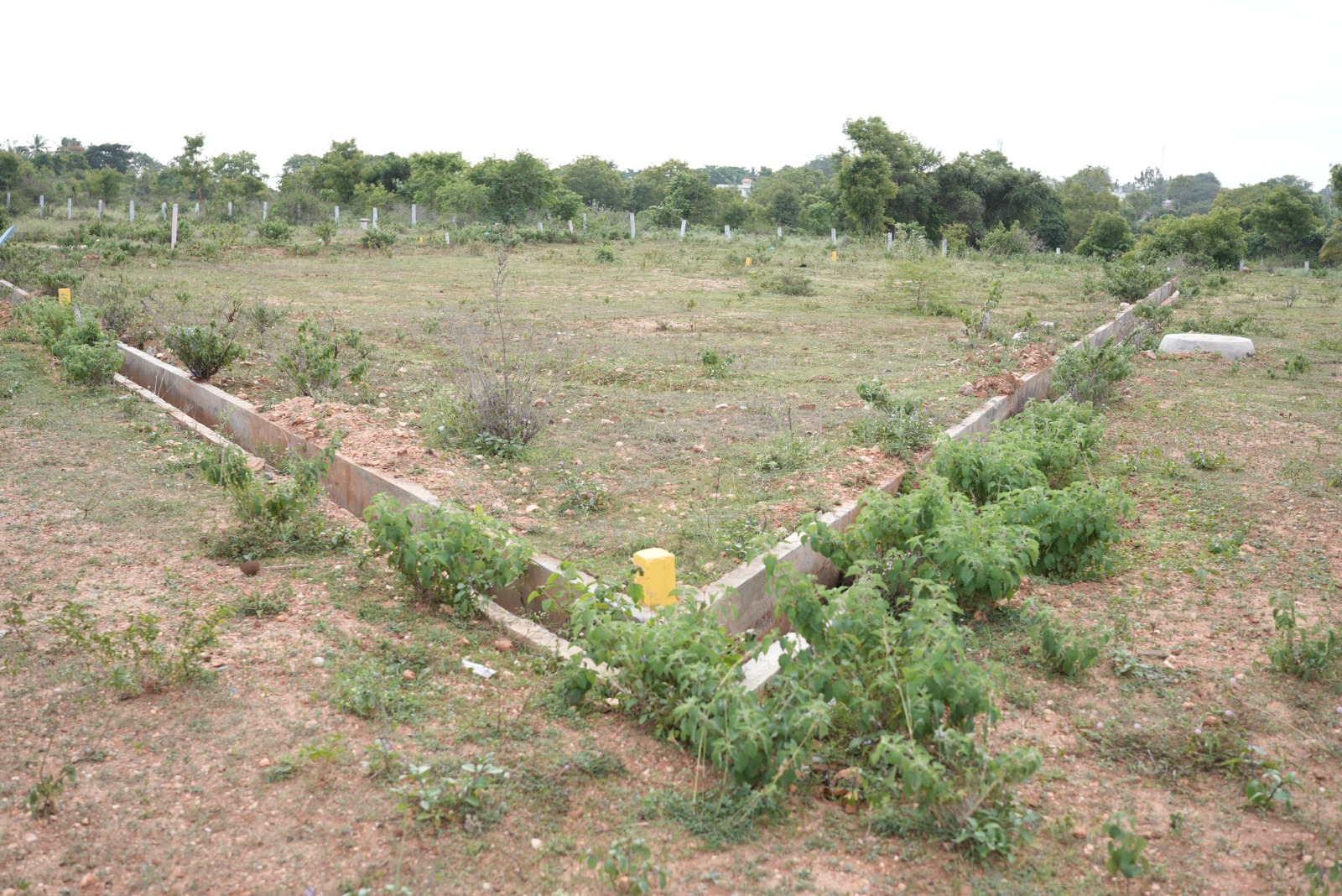 Manorama Enclave underground drainage infrastructure Mysore plots