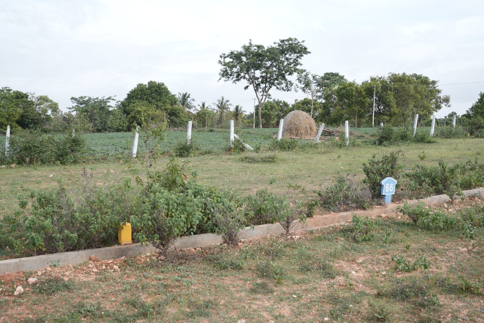 Manorama Enclave residential plot Dornahalli Mysore road view