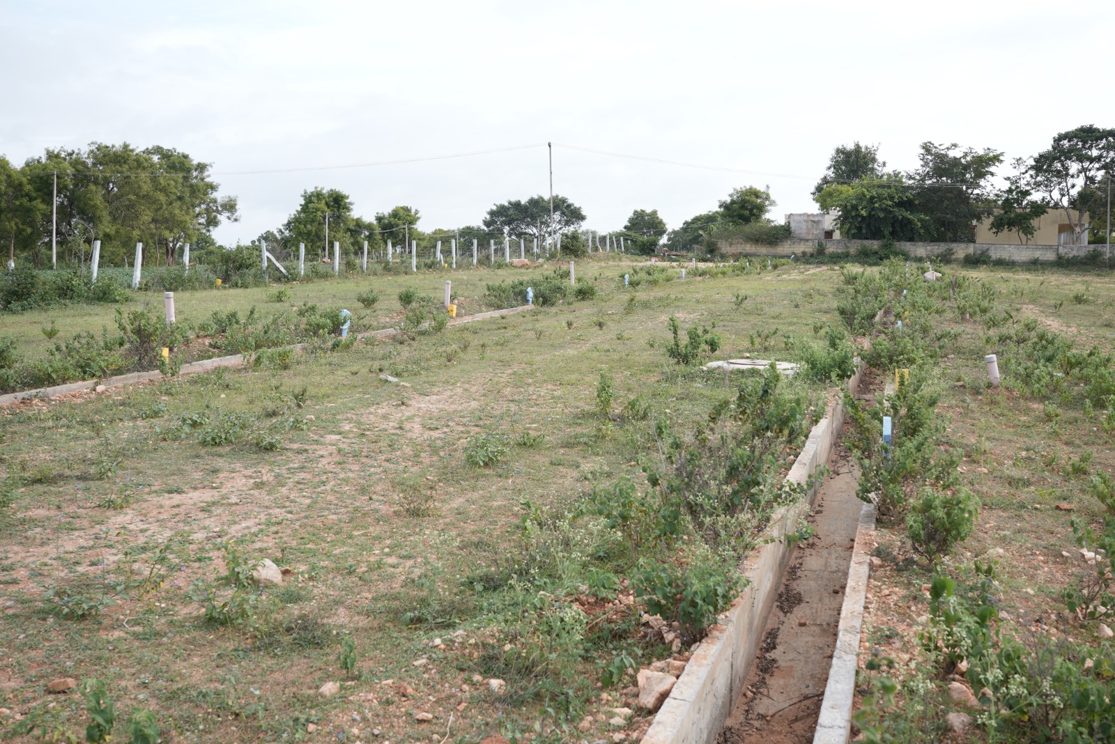 Manorama Enclave residential plot Dornahalli Mysore road view
